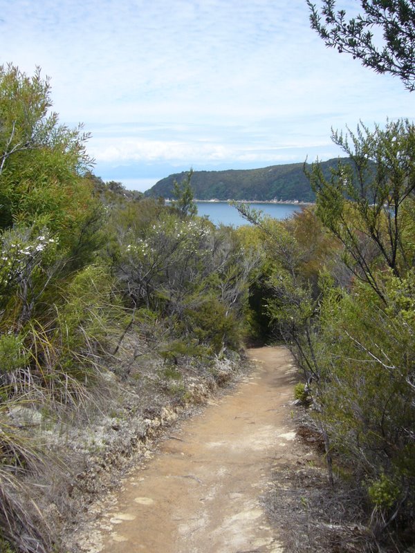 Travel - New Zealand - Abel Tasman National Park